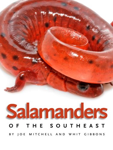 Salamanders of the Southeast   2010 9780820330358 Front Cover