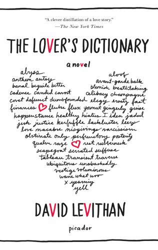 Lover's Dictionary A Novel N/A 9781250002358 Front Cover