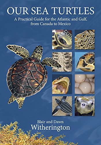 Our Sea Turtles A Practical Guide for the Atlantic and Gulf, from Canada to Mexico  2015 9781561647361 Front Cover