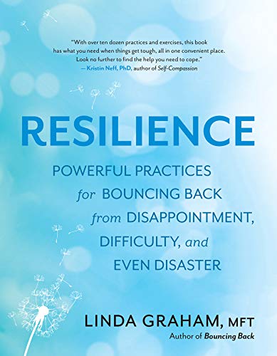 Resilience Toolkit Powerful Practices for Bouncing Back from Disappointment, Difficulty, and Even Disaster  2019 9781608685363 Front Cover