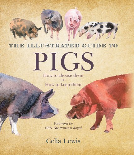 Illustrated Guide to Pigs How to Choose Them, How to Keep Them N/A 9781616084363 Front Cover