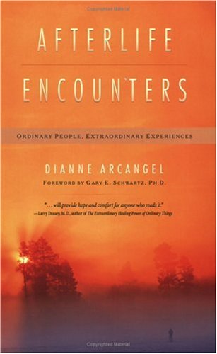 Afterlife Encounters Ordinary People, Extraordinary Experiences  2005 9781571744364 Front Cover