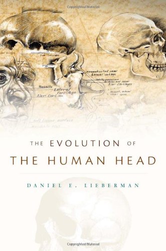 Evolution of the Human Head   2011 9780674046368 Front Cover