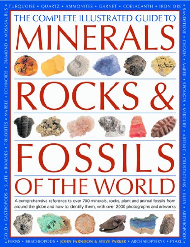 Complete Illustrated Guide to Minerals, Rocks and Fossils of the World A Comprehensive Reference to over 700 Minerals, Rocks, Plants and Animal Fossils from Around the Globe and How to Identify Them  2008 9780754817369 Front Cover