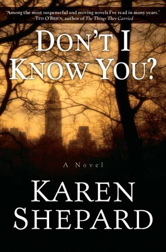 Don't I Know You? A Novel  2006 9780060782375 Front Cover