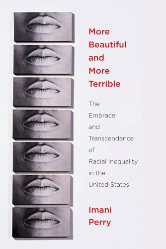 More Beautiful and More Terrible The Embrace and Transcendence of Racial Inequality in the United States  2011 9780814767375 Front Cover