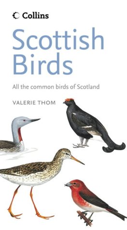 Scottish Birds  2nd 2005 9780007197378 Front Cover