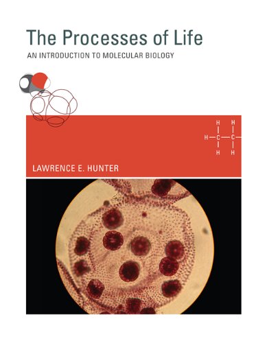 Processes of Life An Introduction to Molecular Biology  2009 9780262517379 Front Cover