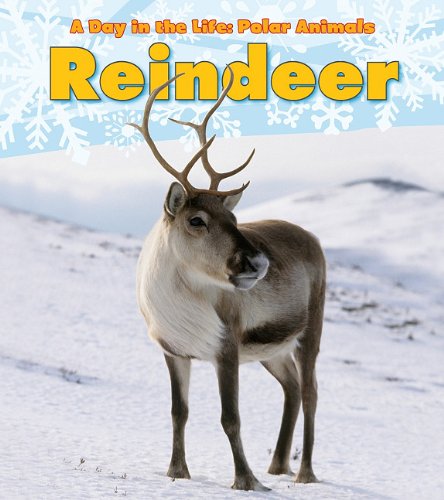 Reindeer   2012 9781432953379 Front Cover