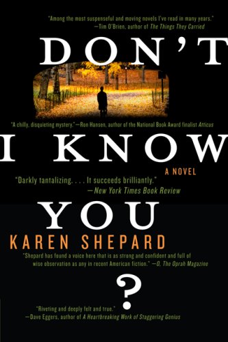 Don't I Know You? A Novel N/A 9780060782382 Front Cover