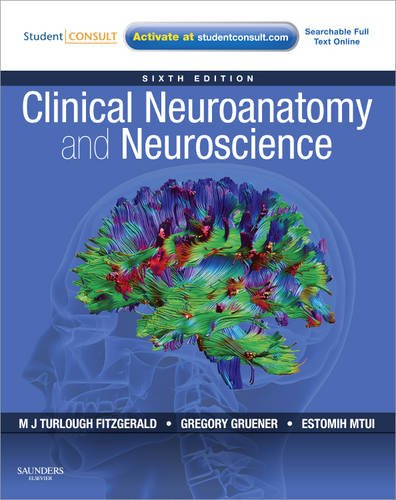 Clinical Neuroanatomy and Neuroscience  6th 2011 9780702037382 Front Cover