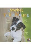 A Pocket Full of Nouns:   2014 9781476539386 Front Cover