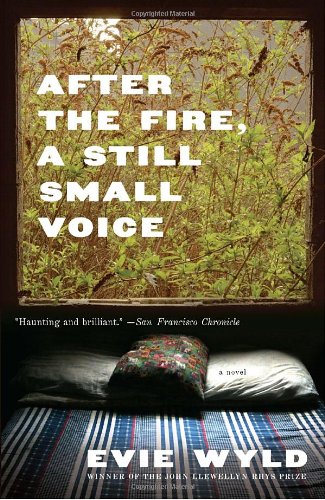 After the Fire, a Still Small Voice  N/A 9780307473387 Front Cover