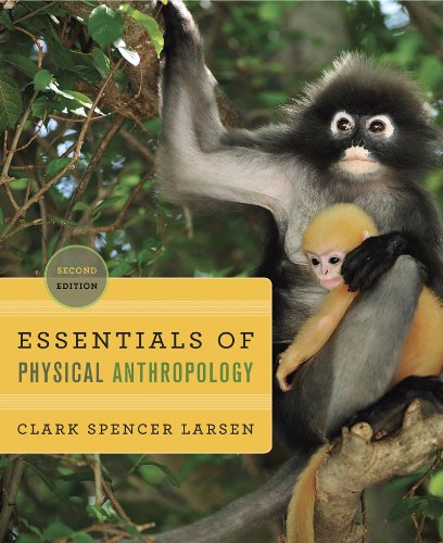 Essentials of Physical Anthropology Discovering Our Origins 2nd 2012 9780393919387 Front Cover