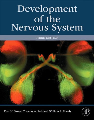 Development of the Nervous System  3rd 2012 9780123745392 Front Cover
