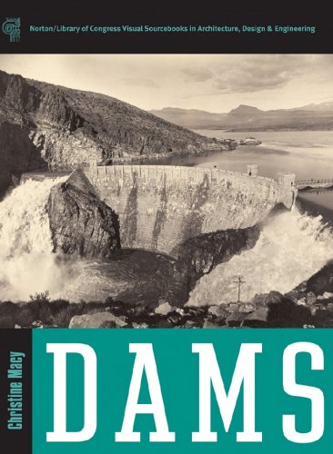 Dams   2008 9780393731392 Front Cover