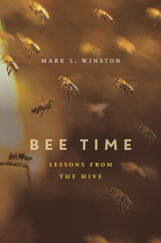 Bee Time Lessons from the Hive  2014 9780674368392 Front Cover