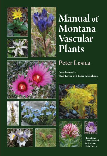 Manual of Montana Vascular Plants  N/A 9781889878393 Front Cover