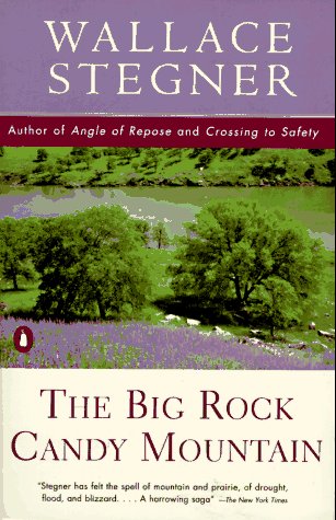 Big Rock Candy Mountain  N/A 9780140139396 Front Cover
