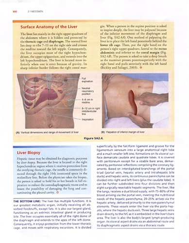 Clinically Oriented Anatomy  5th 2006 (Revised) 9780781736398 Front Cover