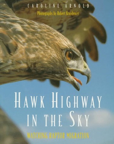 Hawk Highway in the Sky : Watching Raptor Migration N/A 9780152000400 Front Cover