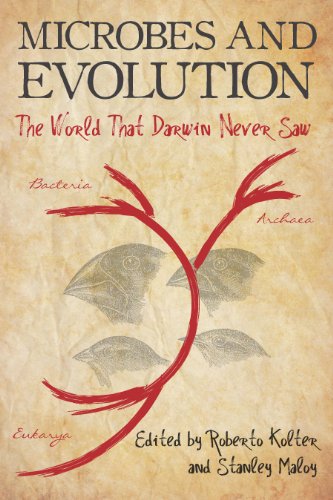 Microbes and Evolution The World That Darwin Never Saw  2012 9781555815400 Front Cover