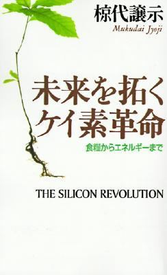 Silicon Revolution  Reprint  9781583481400 Front Cover