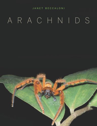 Arachnids   2009 9780520261402 Front Cover