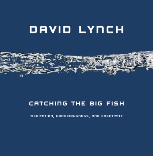 Catching the Big Fish Meditation, Consciousness, and Creativity  2007 9781585425402 Front Cover