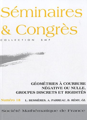 Geometries a Courbure Negative Ou Nulle, Groupes Discrets et Rigidites   2010 9782856292402 Front Cover