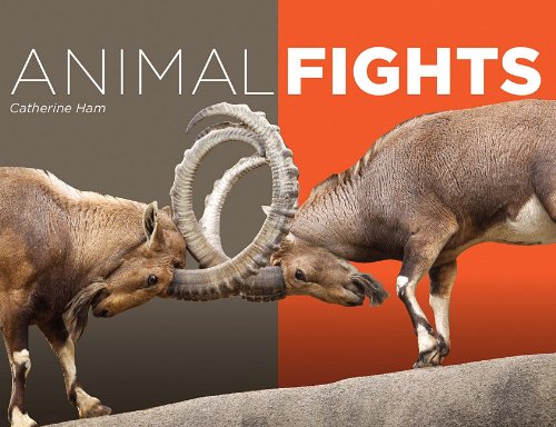 Animal Fights   2011 9780983201403 Front Cover
