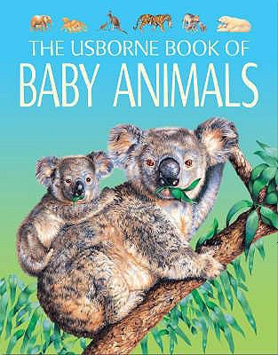 Baby Animals (Young Nature) N/A 9780746064405 Front Cover