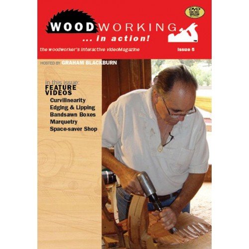 Woodworking in Action:   2012 9781440324406 Front Cover
