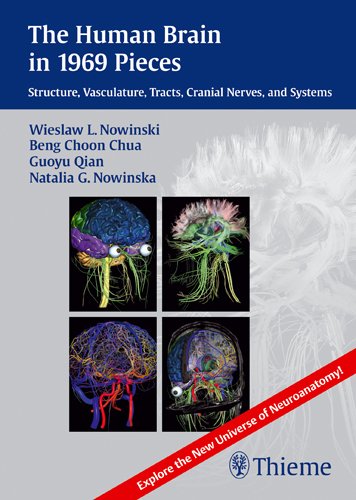 Human Brain in 1969 Pieces Structure, Vasculature, Tracts, Cranial Nerves and Systems  2012 9781604067408 Front Cover