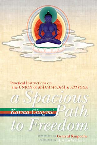 Spacious Path to Freedom Practical Instructions on the Union of Mahamudra and Atiyoga 2nd (Revised) 9781559393409 Front Cover