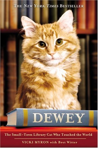 Dewey The Small-Town Library Cat Who Touched the World  2008 9780446407410 Front Cover