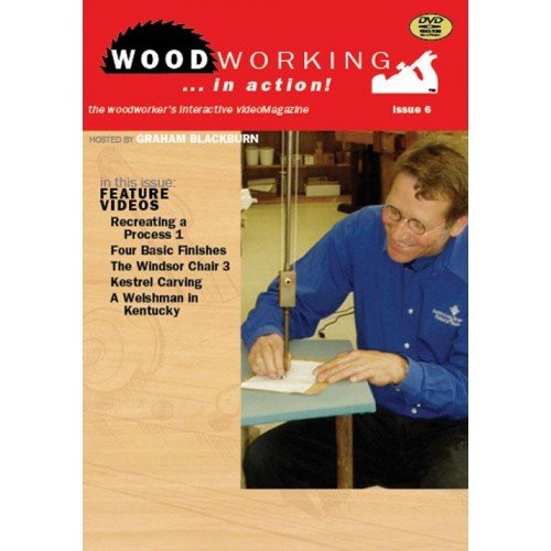 Woodworking in Action:   2012 9781440324413 Front Cover