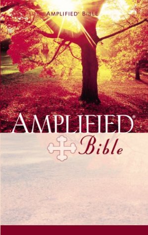 Amplified Bible   1993 (Enlarged) 9780310951414 Front Cover