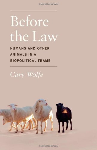 Before the Law Humans and Other Animals in a Biopolitical Frame  2012 9780226922416 Front Cover