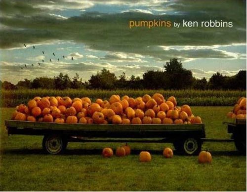 Pumpkins  N/A 9780312371418 Front Cover
