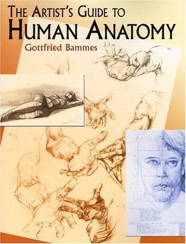 Artist's Guide to Human Anatomy   2004 (Abridged) 9780486436418 Front Cover