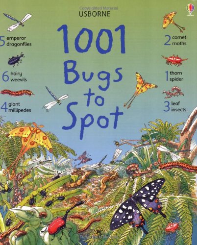 1001 Bugs to Spot:   2005 9780746062418 Front Cover