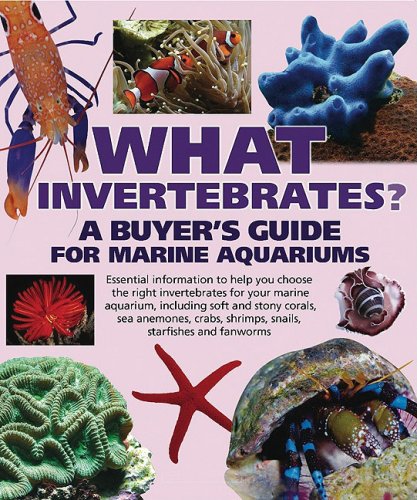 What Invertebrates? A Buyer's Guide for Marine Aquariums  2008 9780764137419 Front Cover