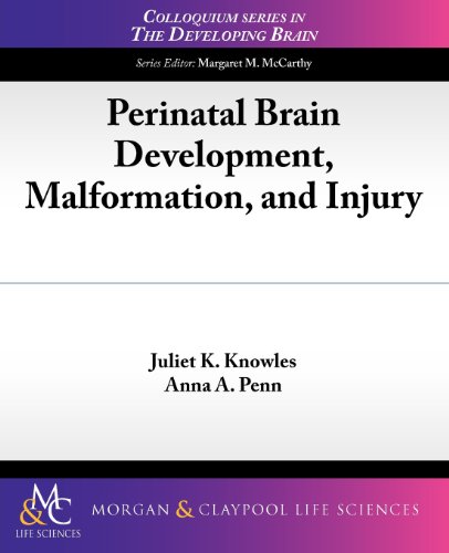 Perinatal Brain Development Malform   2011 9781615043422 Front Cover