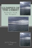 Glimpses of the Christ Sermons from the Gospels N/A 9780615919423 Front Cover