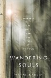 Wandering Souls Journeys with the Dead and the Living in Viet Nam N/A 9781568587424 Front Cover