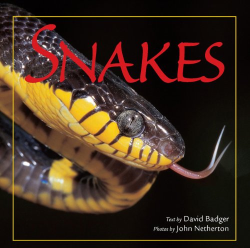 Snakes  N/A 9780785828426 Front Cover