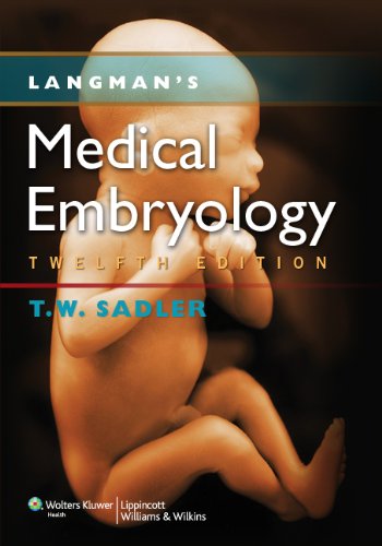 Langman's Medical Embryology  12th 2012 (Revised) 9781451113426 Front Cover