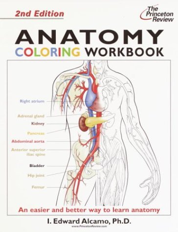 Anatomy  2nd 2003 (Workbook) 9780375763427 Front Cover