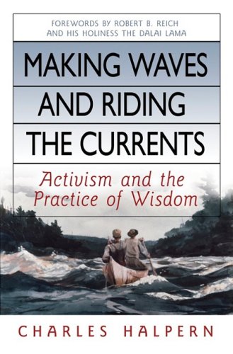 Making Waves and Riding the Currents Activism and the Practice of Wisdom  2008 9781576754429 Front Cover